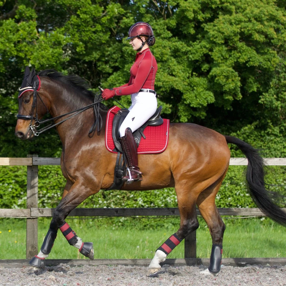 Woof Wear Club Brushing Boot Colour Fusion (Shiraz) - Image 2