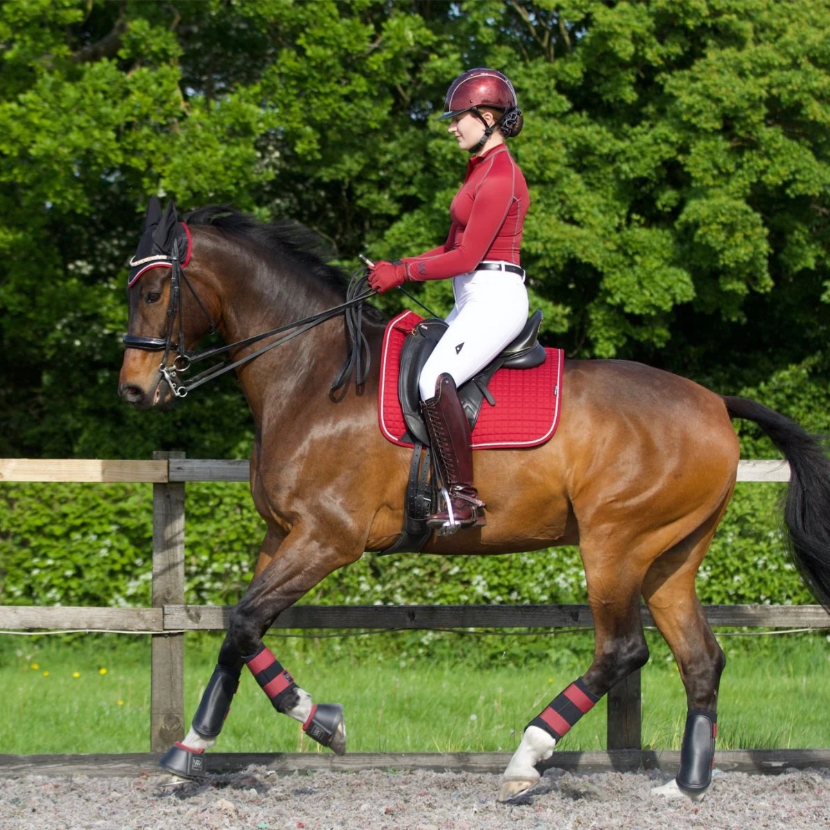 Woof Wear Close Contact Saddle Cloth Colour Fusion (Shiraz) - Image 2