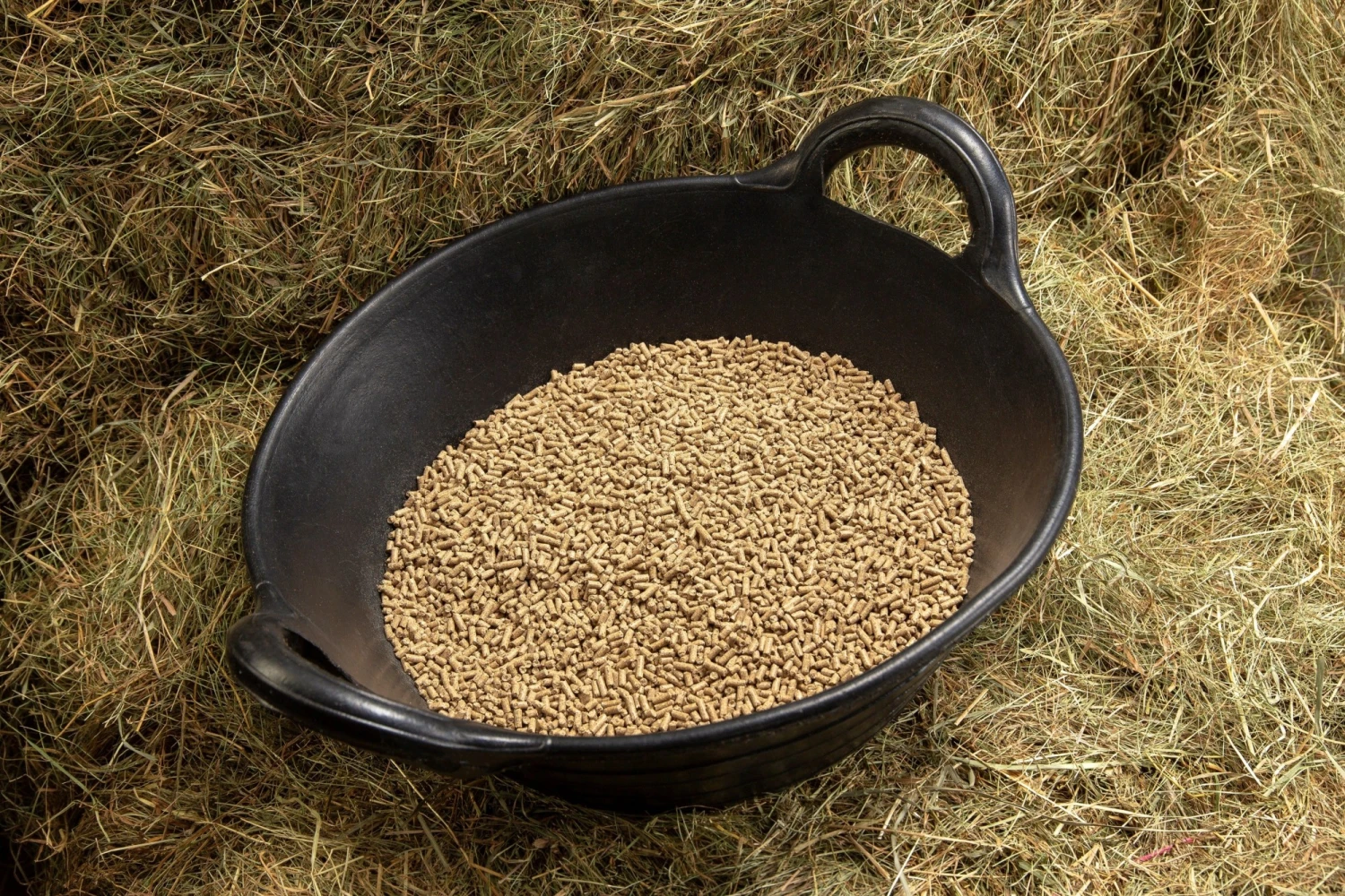 Spillers Lite + Lean Balancer (20kg) - Image 4