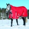 Weatherbeeta Comfitec Classic Turnout Rug Combo Neck 300g Heavyweight (Red/Silver/Navy)