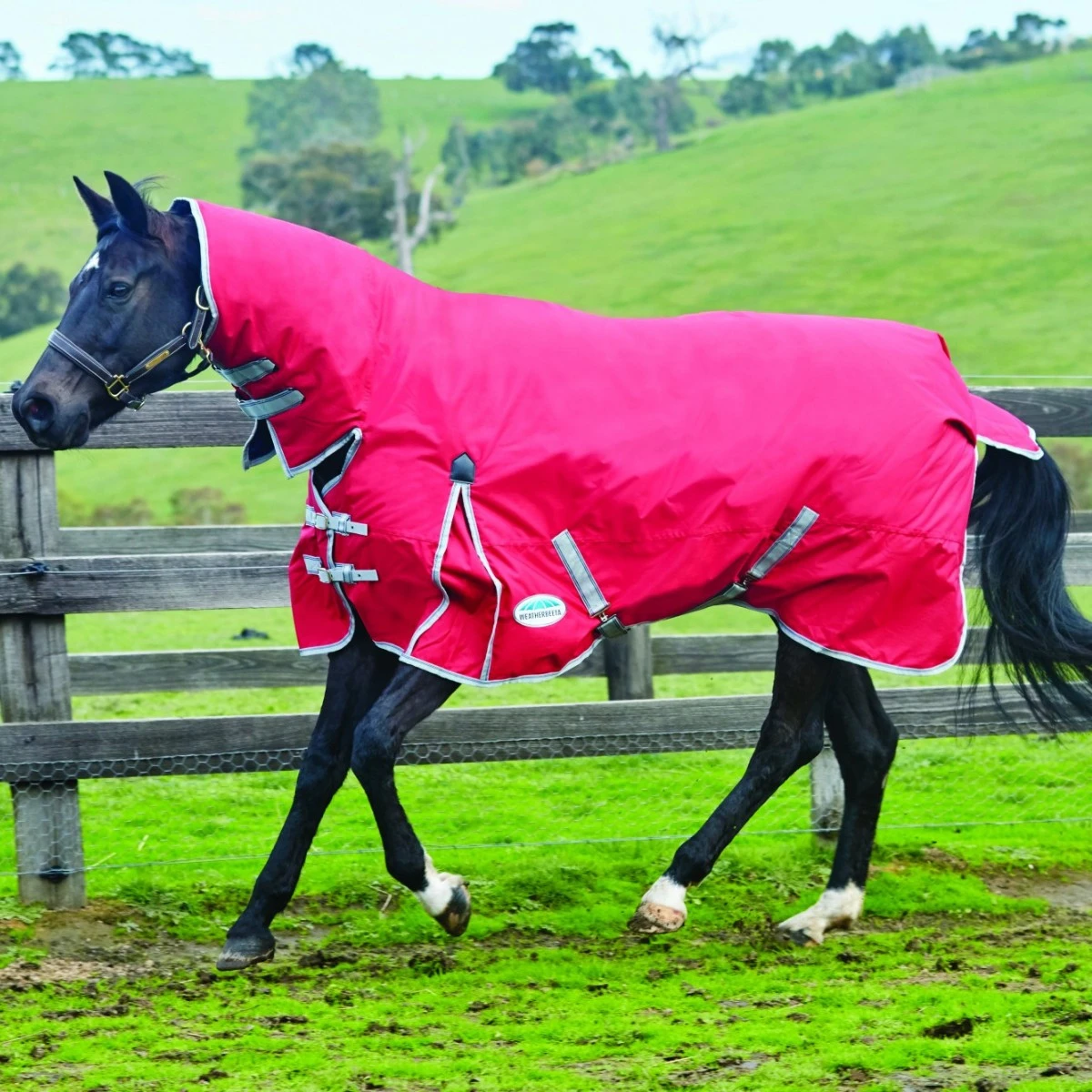 Weatherbeeta ComfiTec Classic Turnout Combo 220g Medium (Red/Silver/Navy) - Image 3