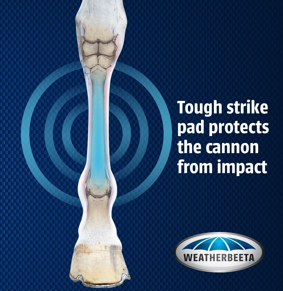 Weatherbeeta Cross Country Boots Hind (Black) - Image 2