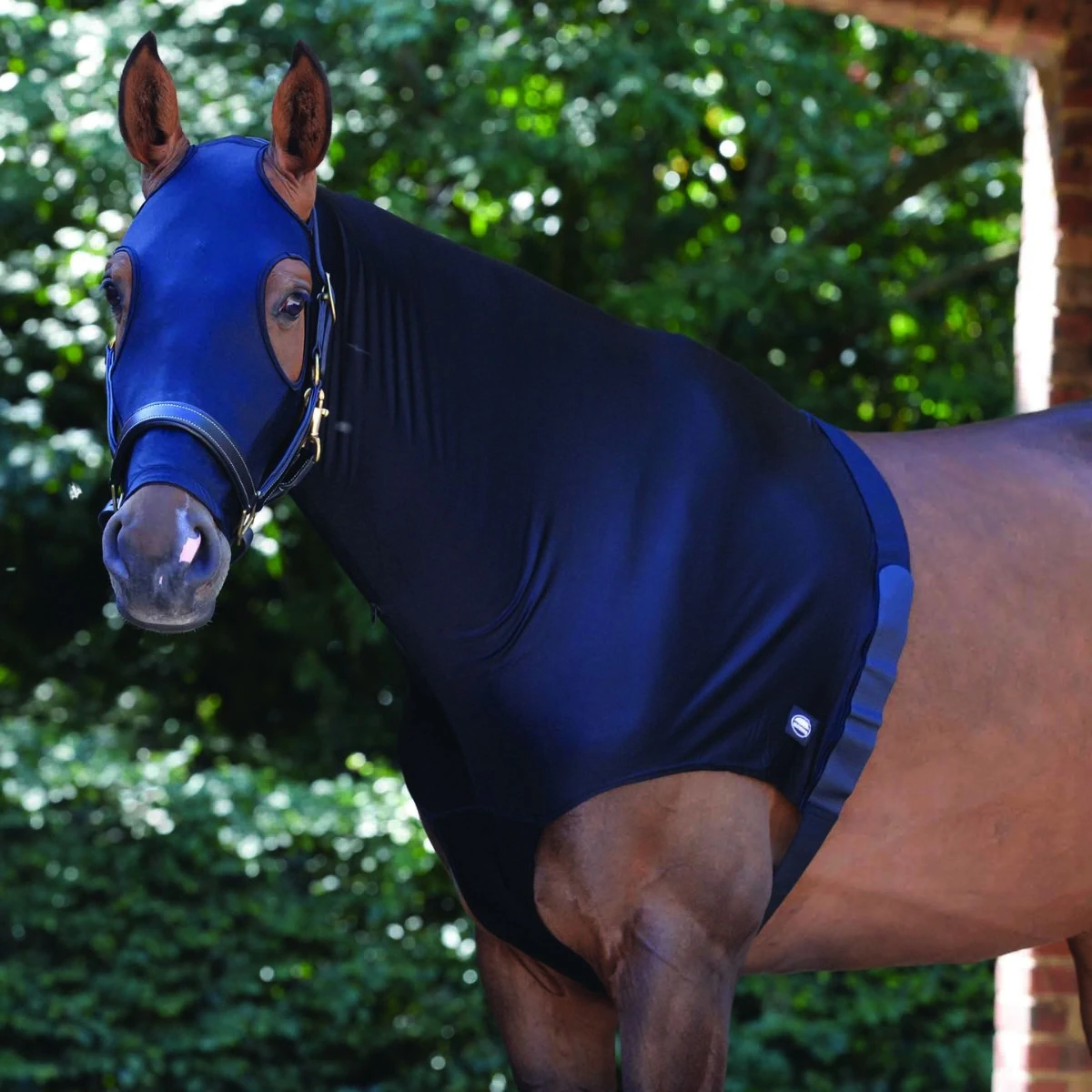 Weatherbeeta Stretch Hood With Zip (Navy) - Image 3