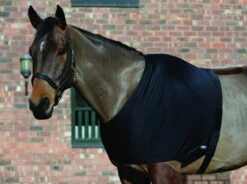 Weatherbeeta Stretch Shoulder Guard (Black)