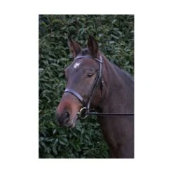 Hy Hunter Bridle With Rubber Reins