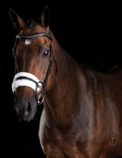 Collegiate Comfitec Sheepskin Bridle (Black)