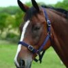 Roma Headcollar & Lead Set (Navy)