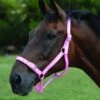Roma Headcollar & Lead Set (Pink/Silver)