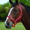 Roma Headcollar & Lead Set (Red/Navy)