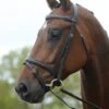 Kincade Flash Bridle (Brown)