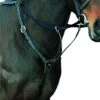 Kincade Event/Hunt Breastplate (Black)