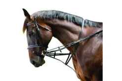 Kincade Webmarket Harborough/Germarn Martingale (Black)