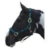 Hy Deluxe Padded Head Collar (Bottle Green)