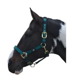Hy Deluxe Padded Head Collar (Bottle Green)