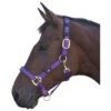 Hy Deluxe Padded Head Collar (Purple)