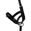Hy Leather Foal Slip (Black)