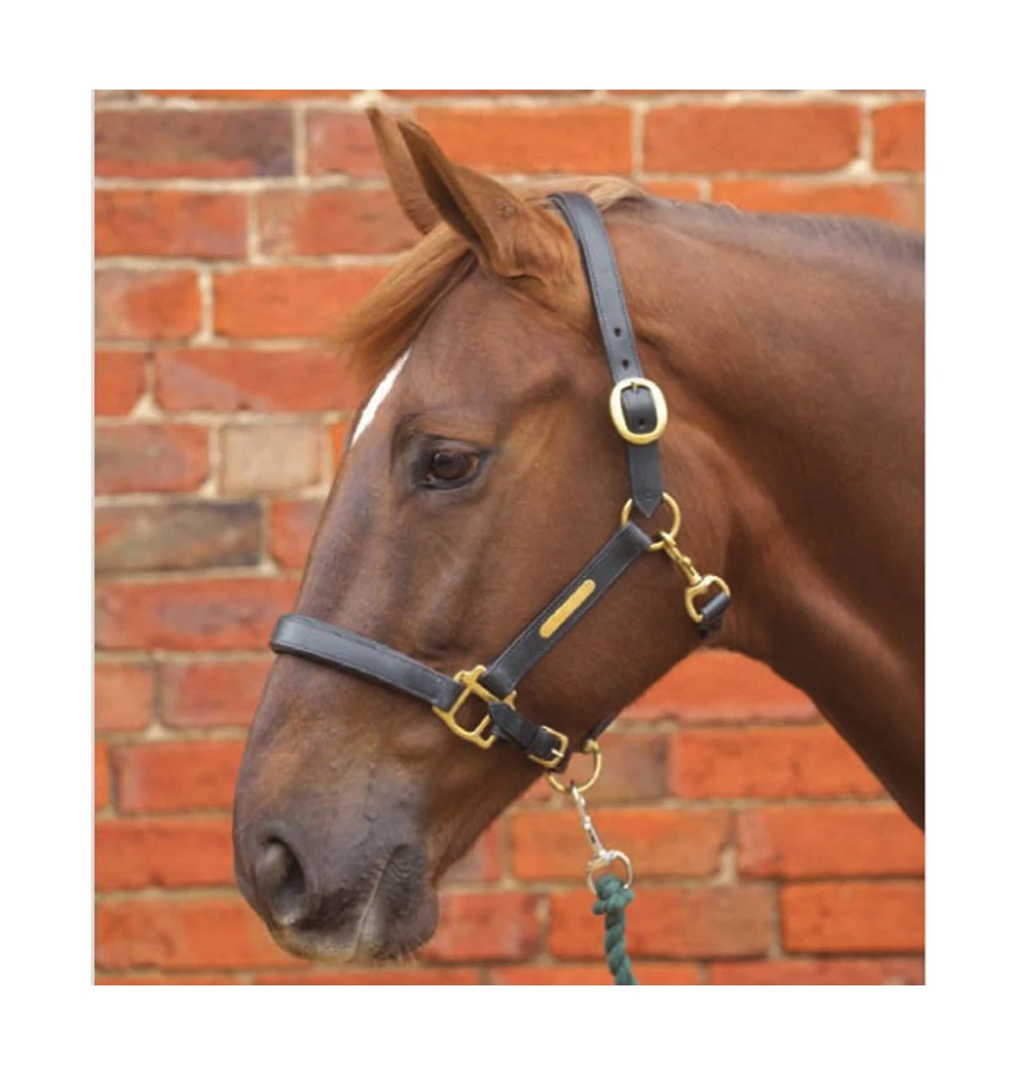 Hy Leather Head Collar (Black)