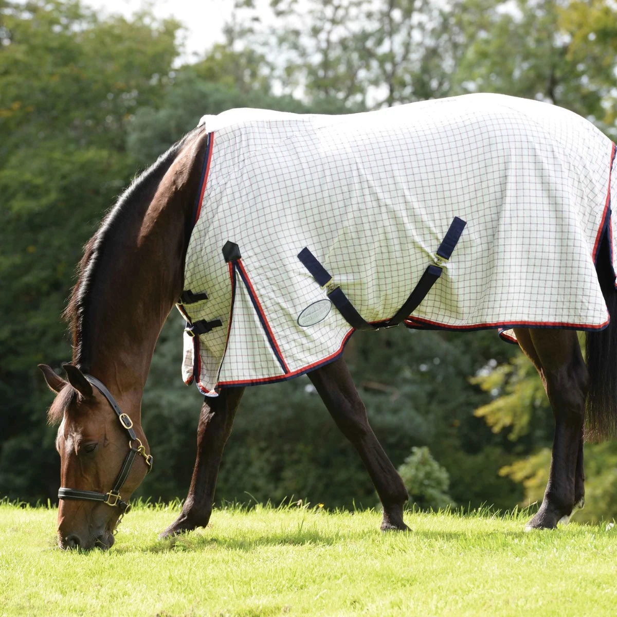 Weatherbeeta Summer Sheet Lite III Standard Neck (White/Navy/Red) - Image 2