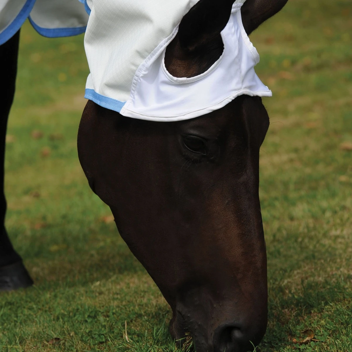 Weatherbeeta Sweet Itch Shield Combo Neck (White/Blue) - Image 5
