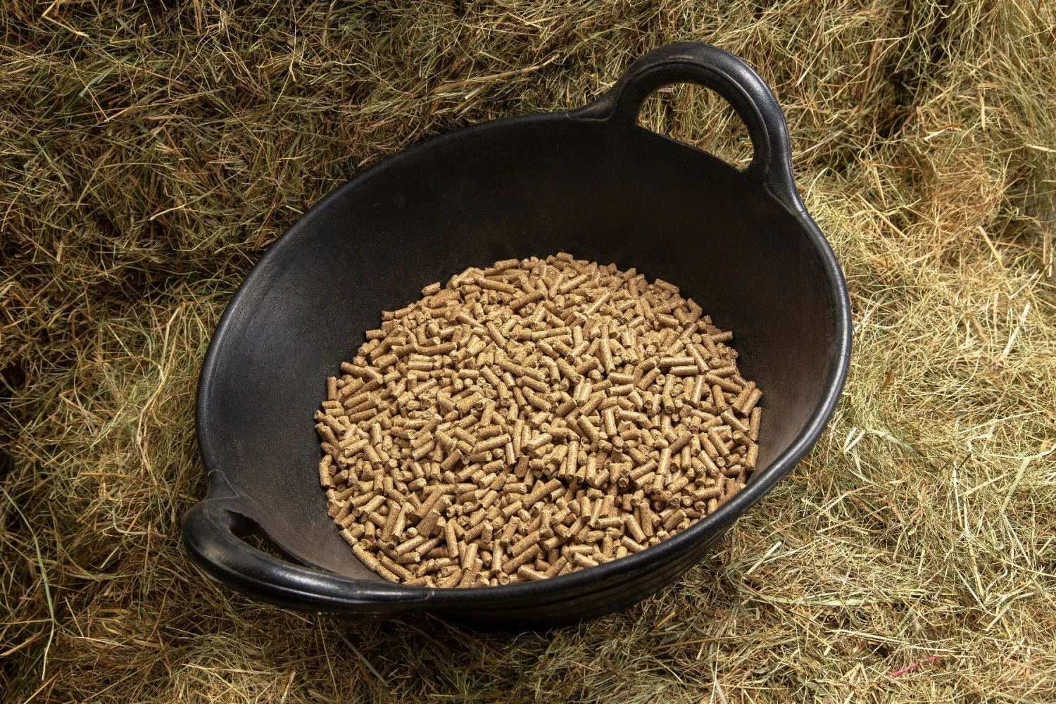 Spillers Stud & Yearling Cubes (20Kg) - Image 3