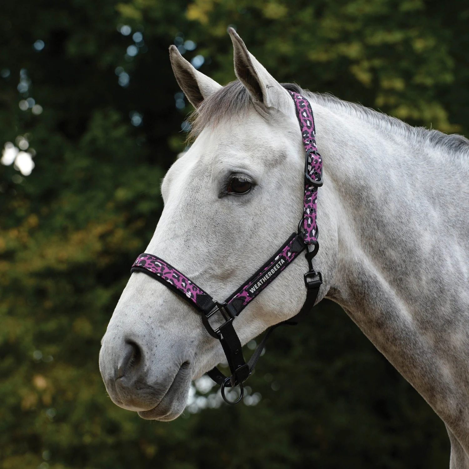 Weatherbeeta Leopard Headcollar (Pink Leopard Print)