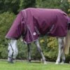 Weatherbeeta ComfiTec Plus Dynamic II Turnout Detach Neck 220g Medium (Maroon)