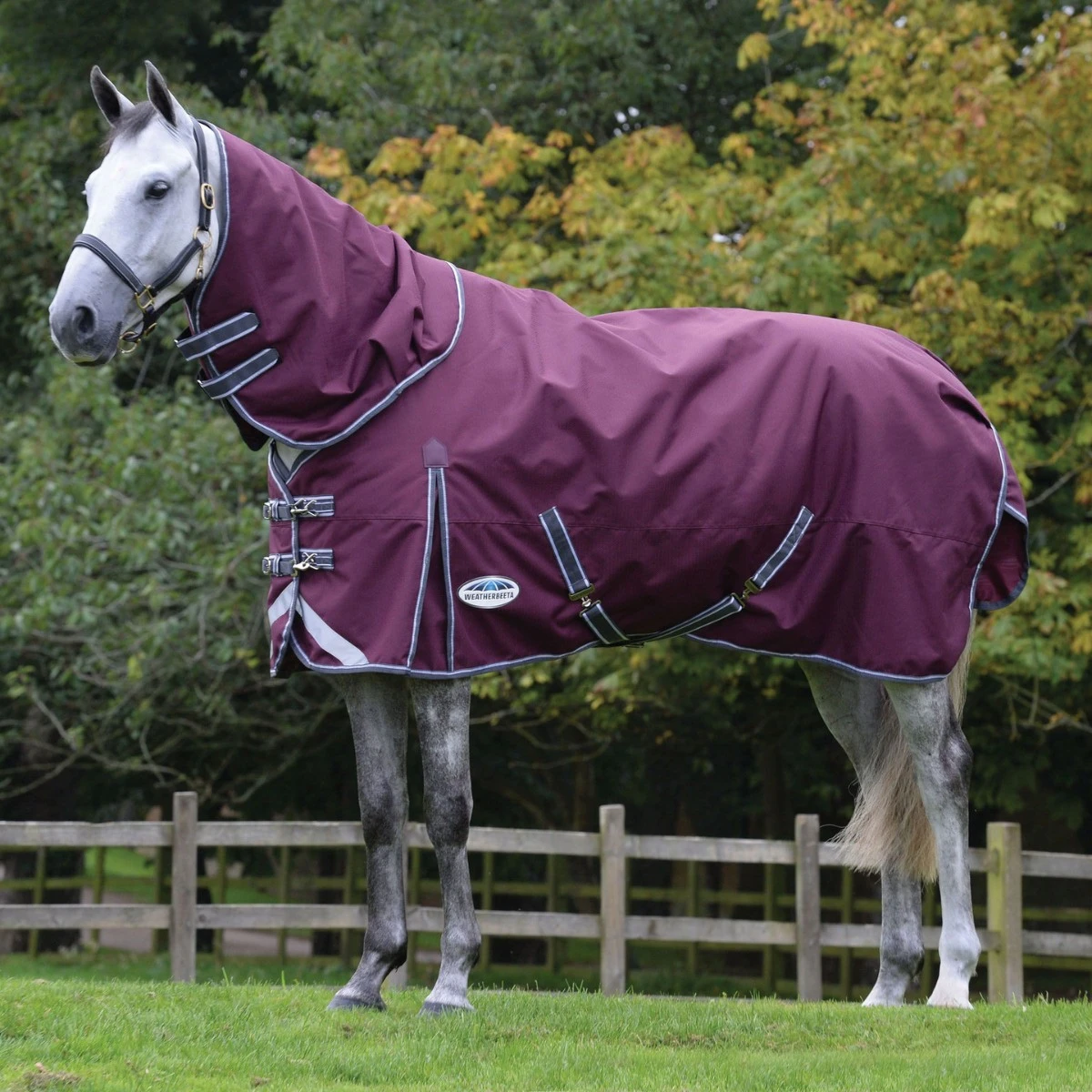 Weatherbeeta ComfiTec Plus Dynamic II Turnout Detach Neck 220g Medium (Maroon) - Image 2