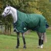 Weatherbeeta ComfiTec Plus Dynamic II Turnout High Neck 220g Medium (Hunter/Navy)