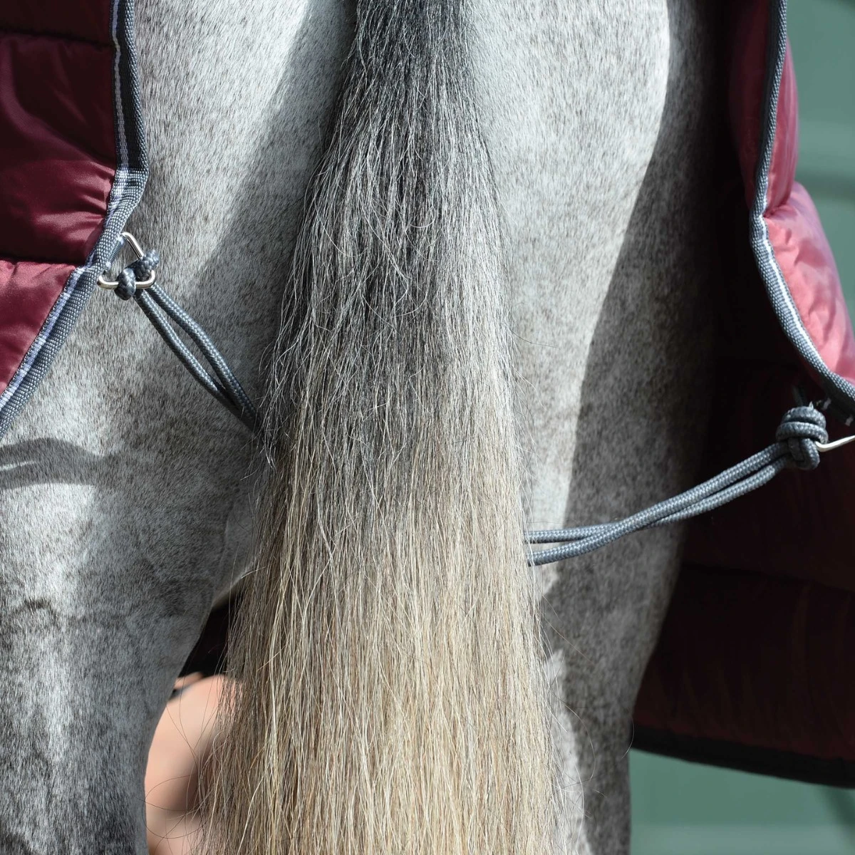 Weatherbeeta ComfiTec 210D Channel Quilt Stable Rug Combo 250g Medium (Grey/Lime) - Image 4