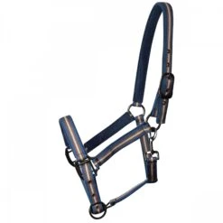 Weatherbeeta Coordinate Headcollar (Dark Blue/Brown/Grey)