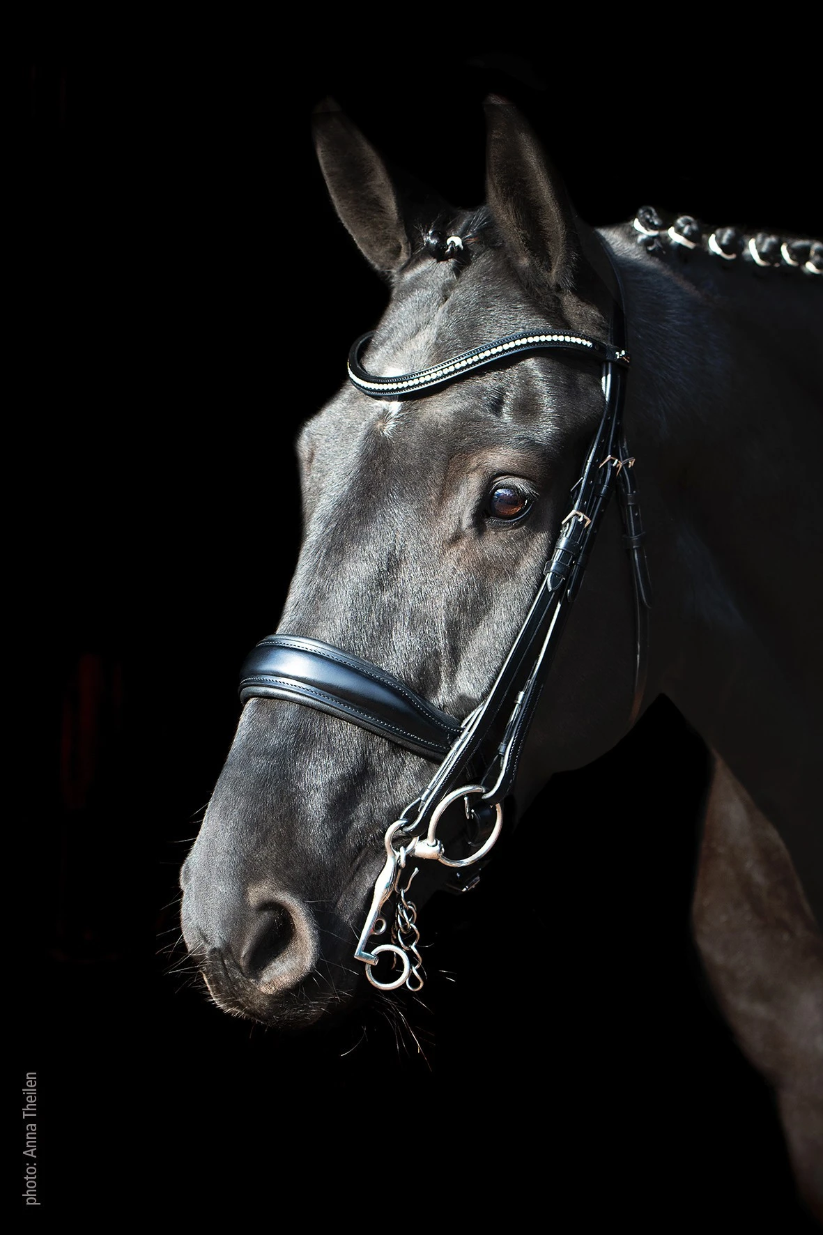 Schockemohle Milan Double Bridle - Image 2