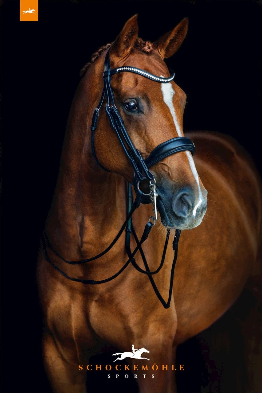 Schockemohle Venice Anatomic Double Bridle - Image 2