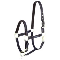 Covalliero GoLeyGo Headcollar (Brown/Blue)