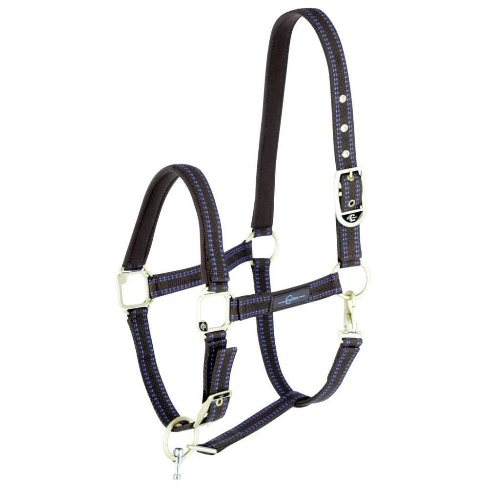 Covalliero GoLeyGo Headcollar (Brown/Blue)