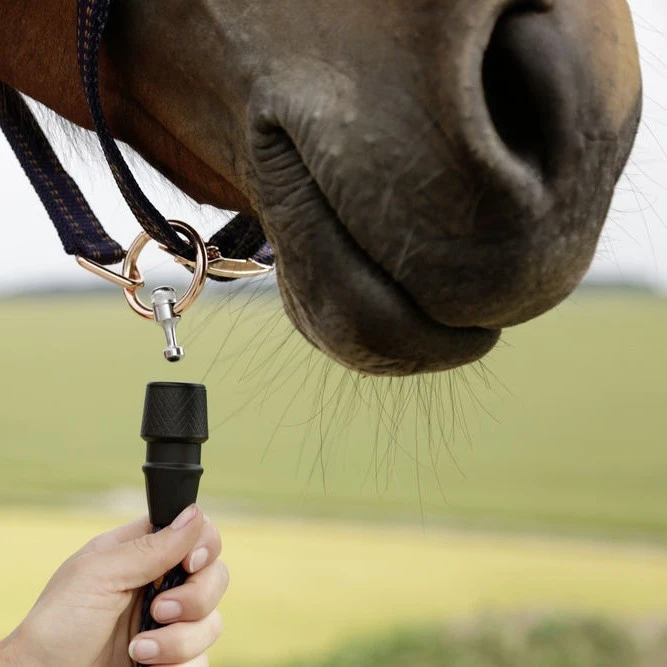 Covalliero GoLeyGo Headcollar (Brown/Blue) - Image 3