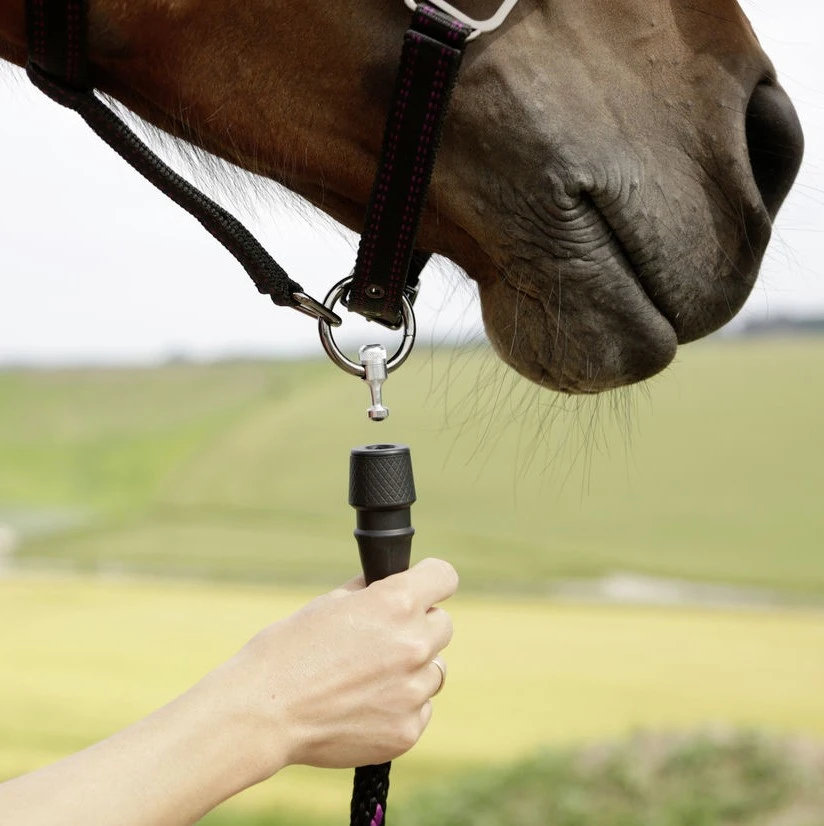 Covalliero GoLeyGo Headcollar (Brown/Blue) - Image 4
