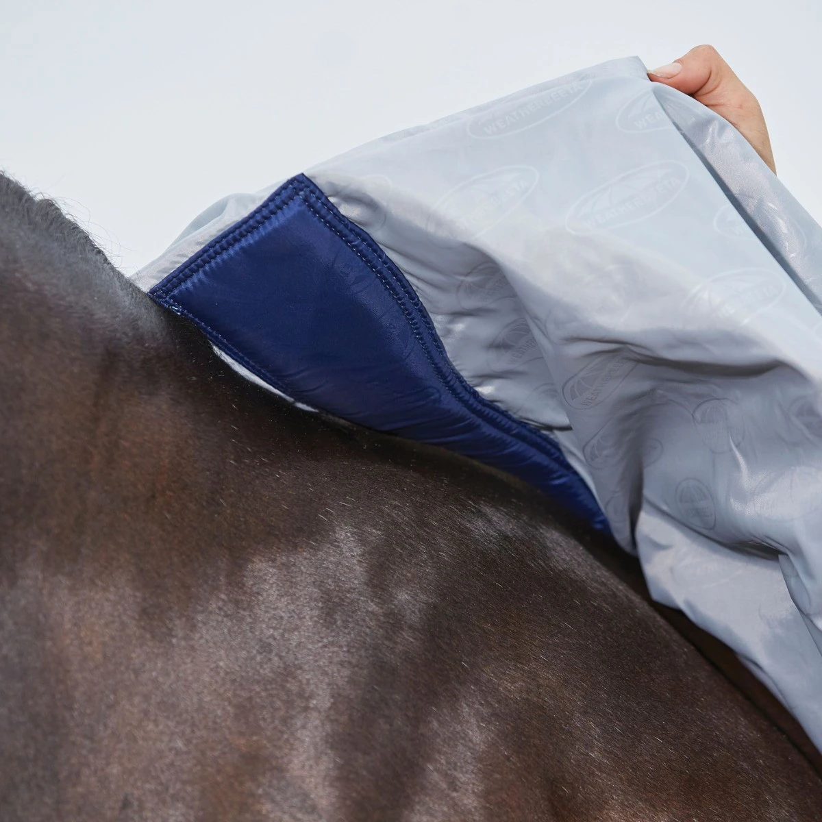 Weatherbeeta Comfitec 600D/Mesh II Combo Neck (Silver/Silver) - Image 5