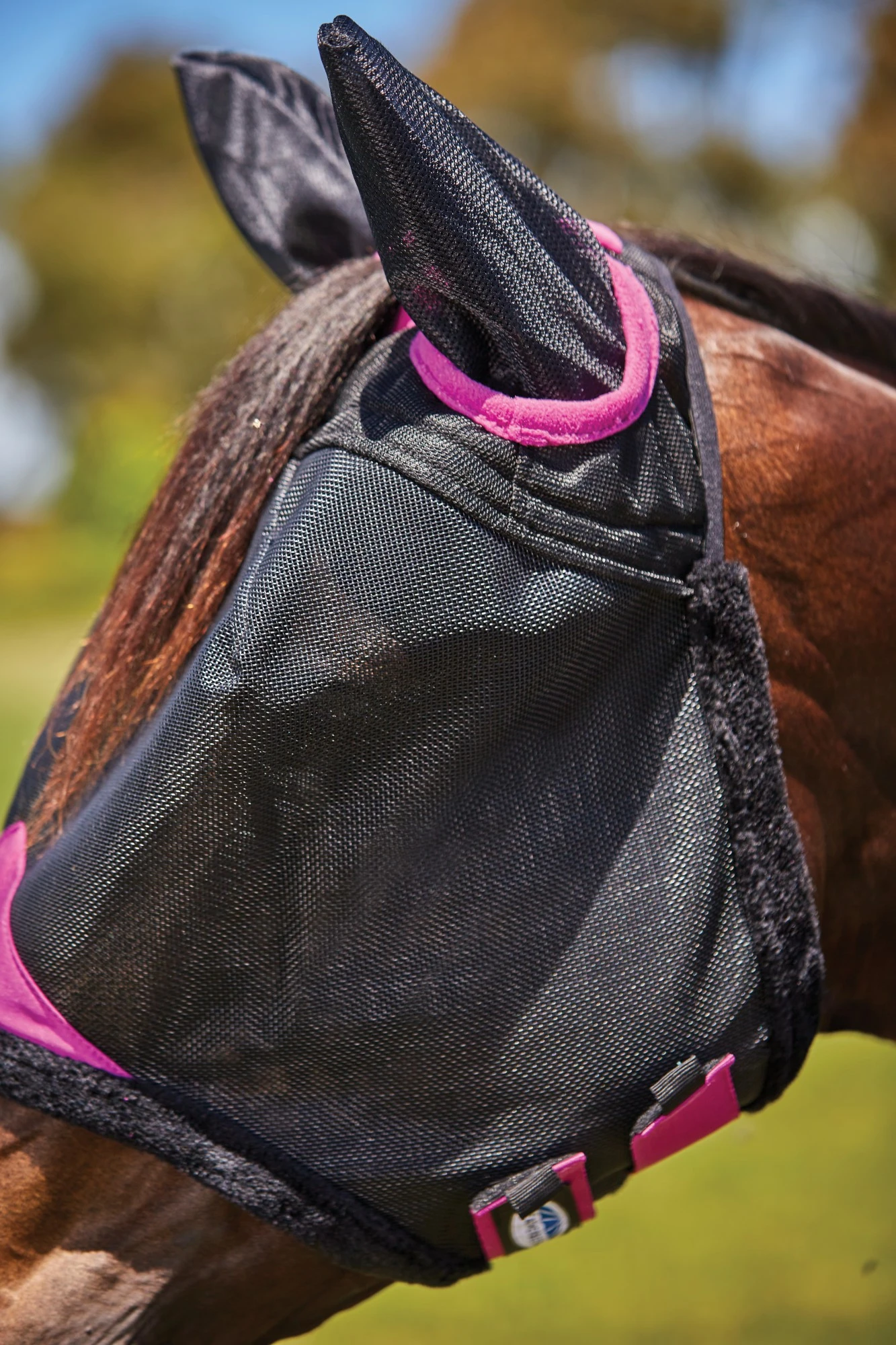 Weatherbeeta Comfitec Deluxe Durable Mesh Mask With Ears (Black/Purple) - Image 2