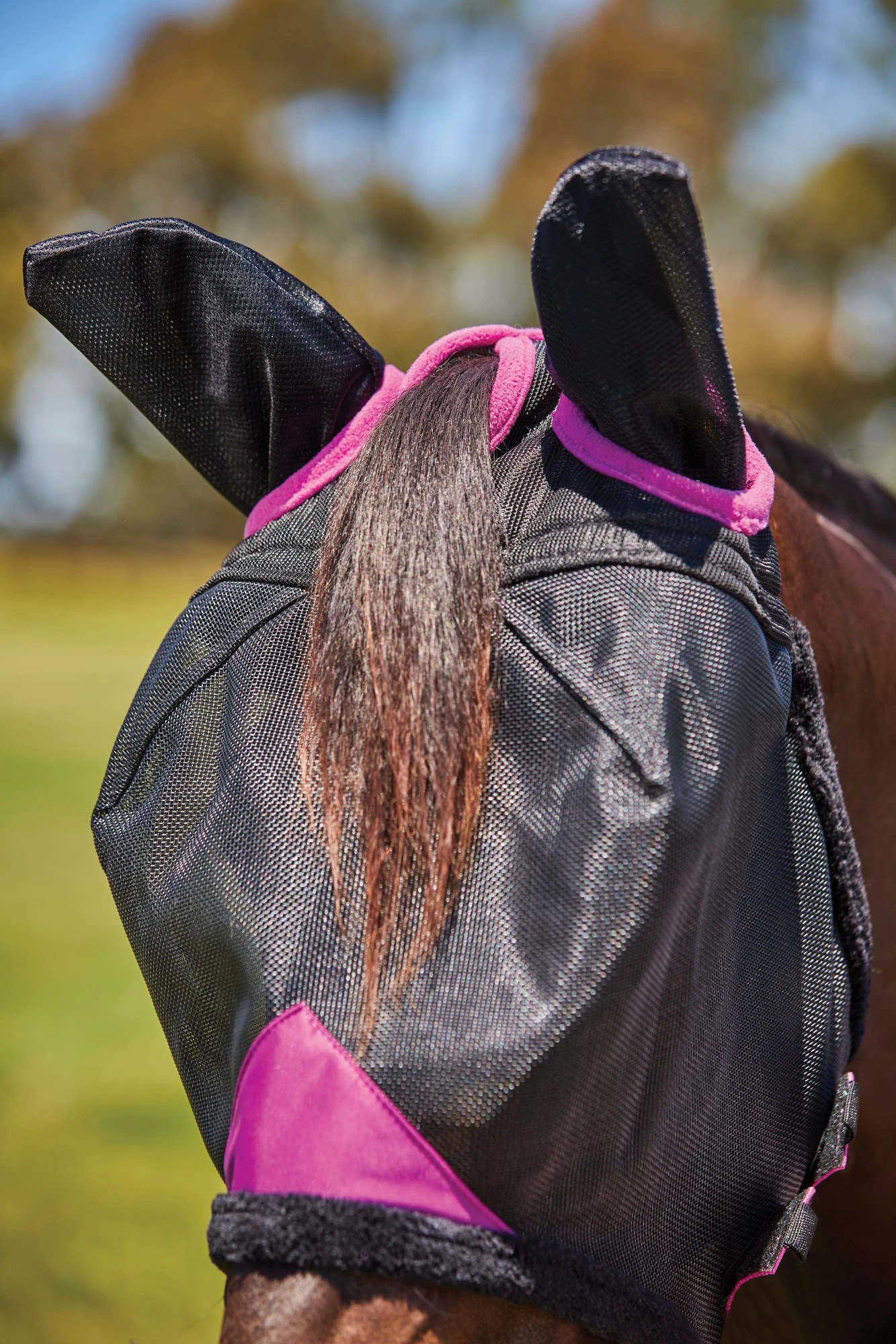 Weatherbeeta Comfitec Deluxe Durable Mesh Mask With Ears (Black/Purple) - Image 3