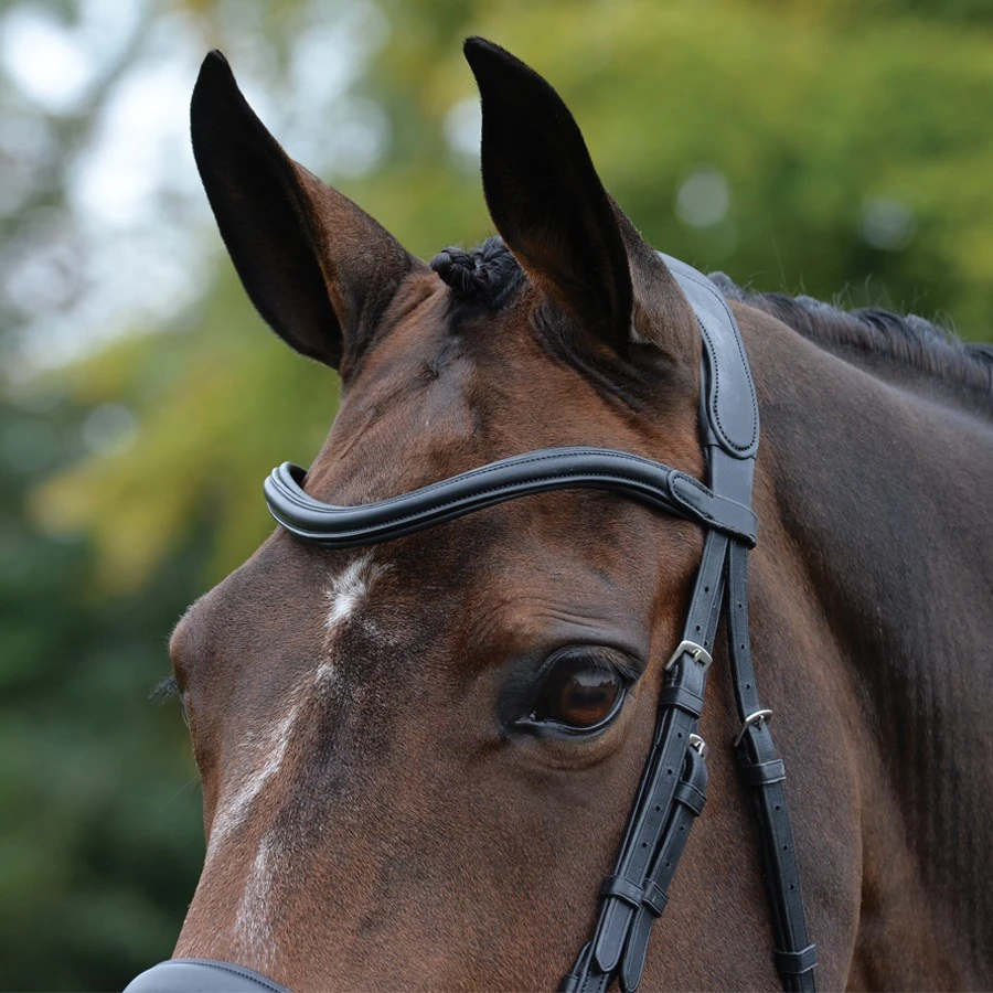 Collegiate Comfitec Vogue Anatomical Bridle (Black) - Image 2