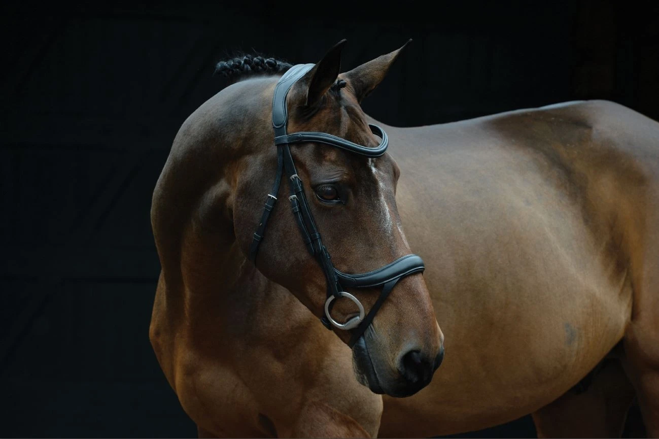 Collegiate Comfitec Vogue Anatomical Bridle (Black) - Image 5