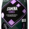 Spillers Stamina+ Cubes (20kg)