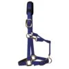 KM Elite Padded Headcollar (Royal Blue)