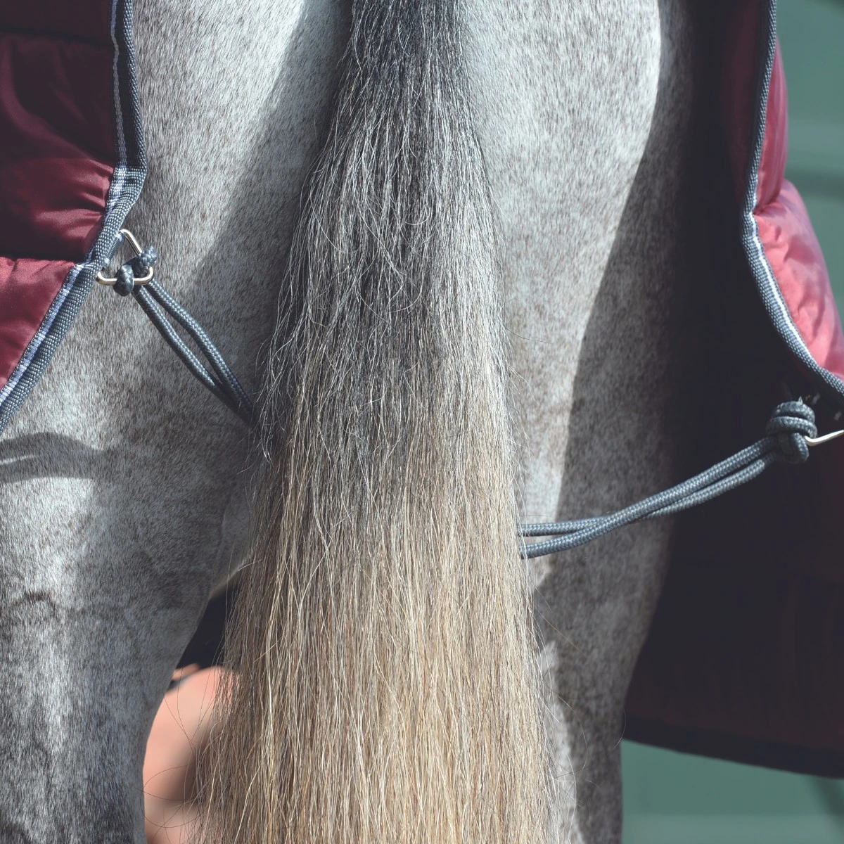 Weatherbeeta Comfitec 210D Channel Quilt Stable Rug Combo Neck 250g Medium (Maroon/Grey/White) - Image 6