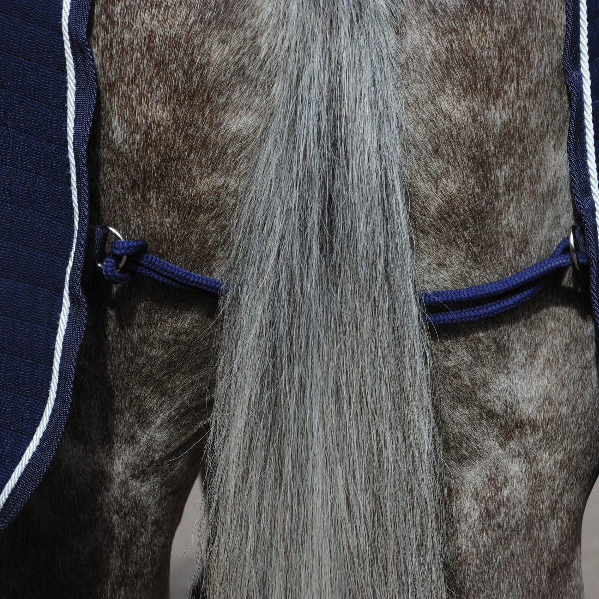 Weatherbeeta Thermocell Cooler Standard Neck (Dark Grey/White) - Image 5