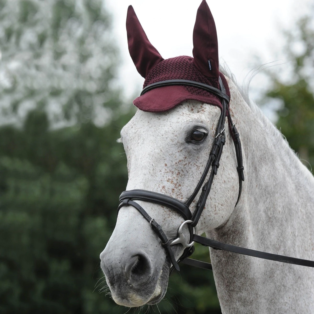 Weatherbeeta Prime Ear Bonnet (Mulberry) - Image 3