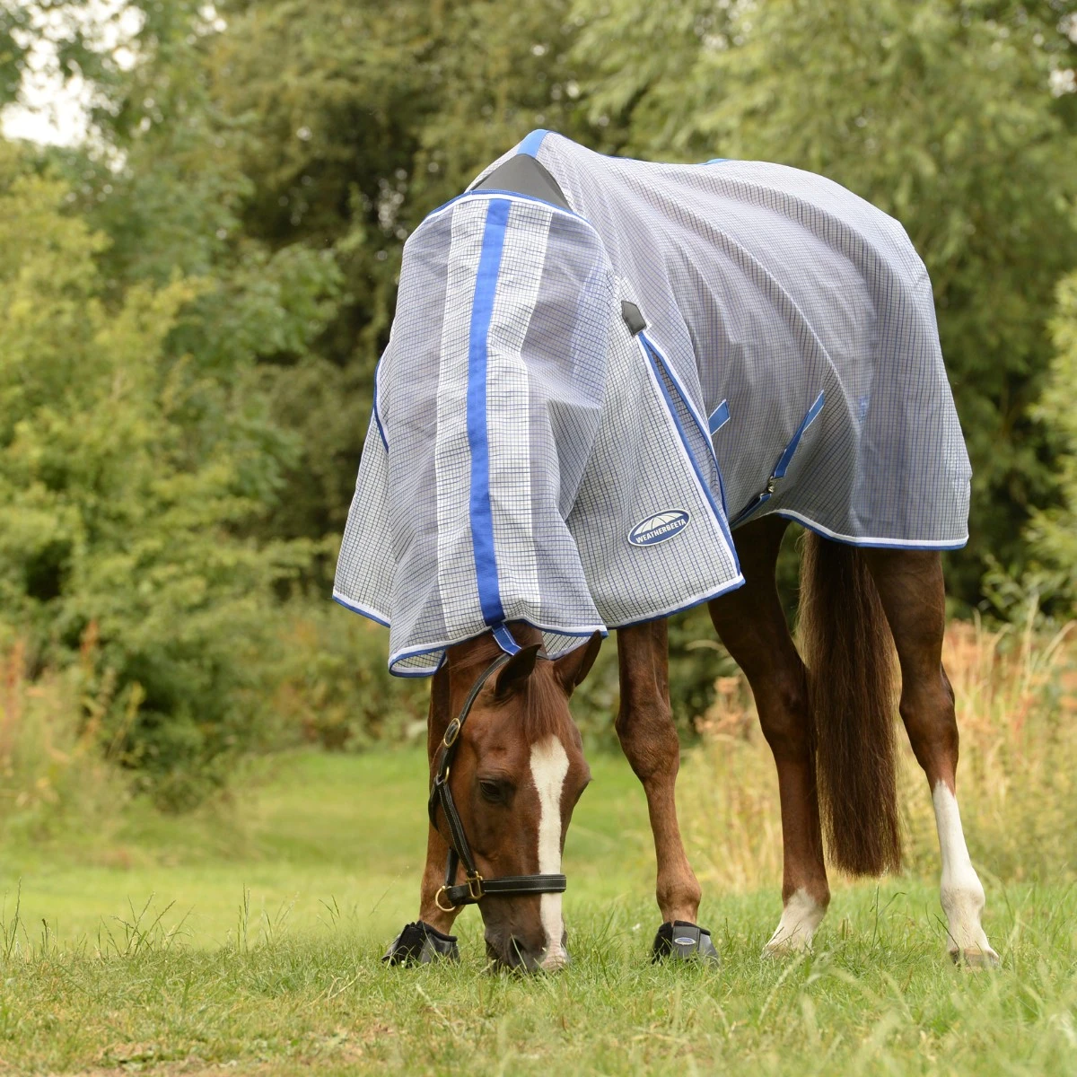 Weatherbeeta Comfitec Ripshield Plus Fly Rug With Ultra Belly Wrap Combo Neck(White/Blue) - Image 2