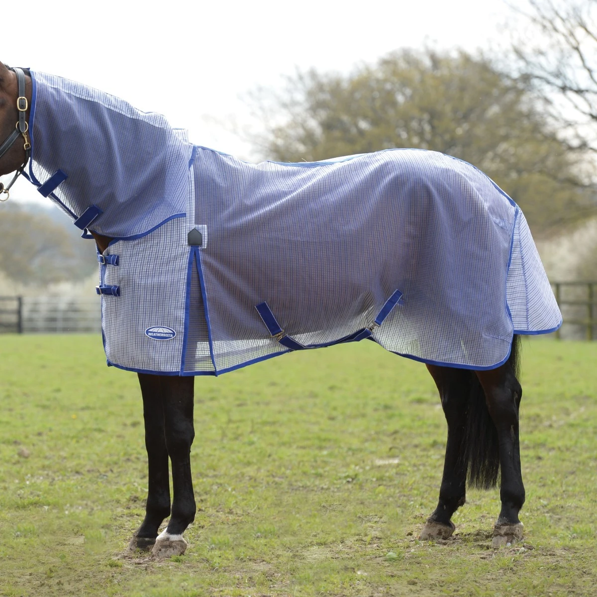 Weatherbeeta Comfitec Ripshield Plus Fly Rug With Ultra Belly Wrap Combo Neck(White/Blue) - Image 5