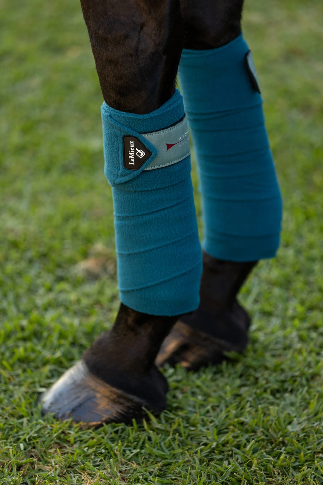 LeMieux Polo Bandages (Marine) - Image 2