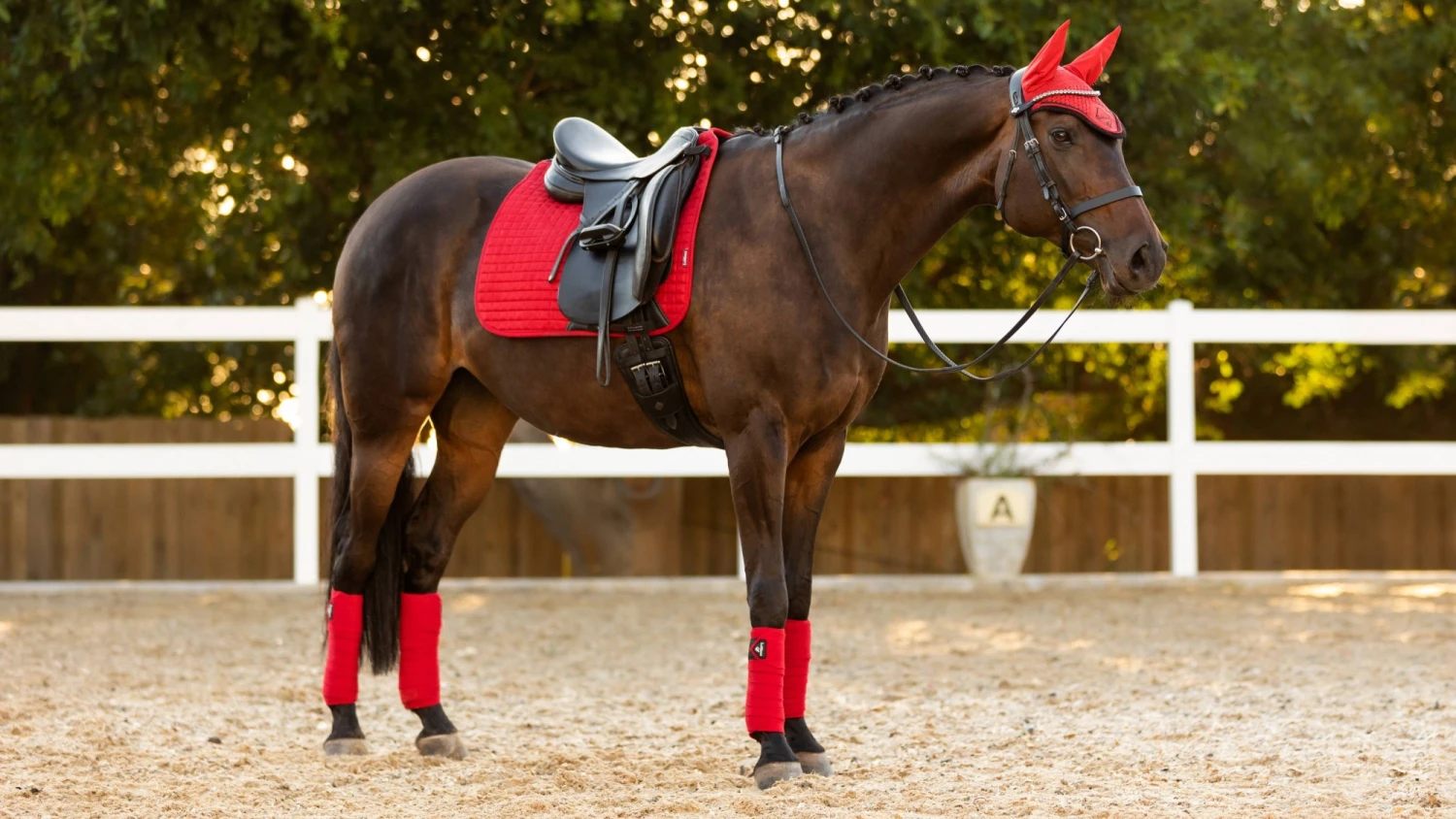 LeMieux Polo Bandages (Chilli) - Image 2